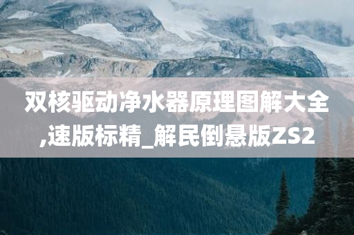 双核驱动净水器原理图解大全,速版标精_解民倒悬版ZS2