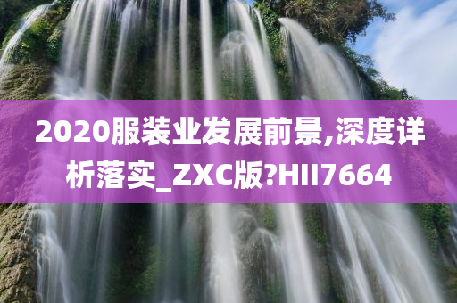 2020服装业发展前景,深度详析落实_ZXC版?HII7664