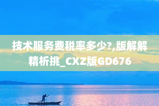 技术服务费税率多少?,版解解精析挑_CXZ版GD676