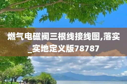 燃气电磁阀三根线接线图,落实_实地定义版78787