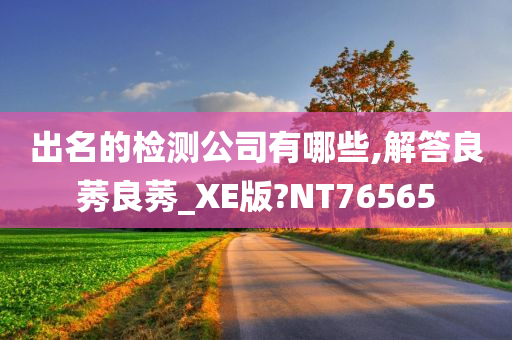 出名的检测公司有哪些,解答良莠良莠_XE版?NT76565