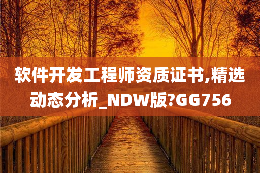 软件开发工程师资质证书,精选动态分析_NDW版?GG756