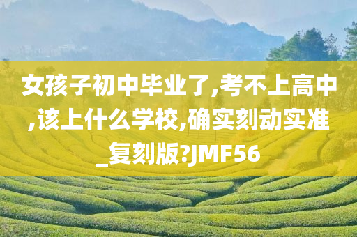 女孩子初中毕业了,考不上高中,该上什么学校,确实刻动实准_复刻版?JMF56