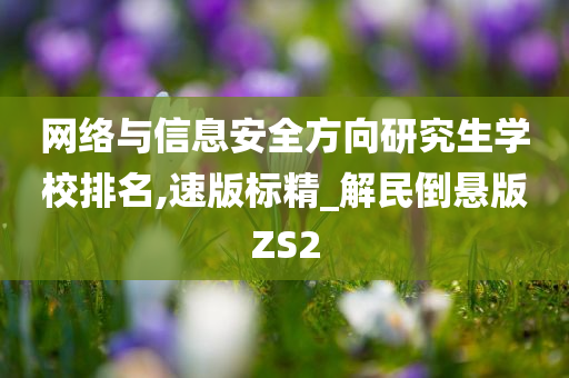 网络与信息安全方向研究生学校排名,速版标精_解民倒悬版ZS2