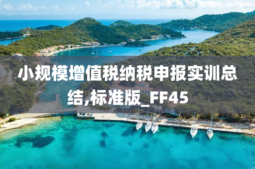 小规模增值税纳税申报实训总结,标准版_FF45