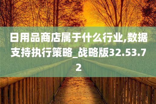 日用品商店属于什么行业,数据支持执行策略_战略版32.53.72