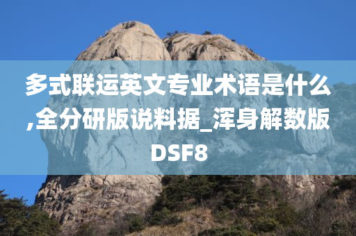 多式联运英文专业术语是什么,全分研版说料据_浑身解数版DSF8