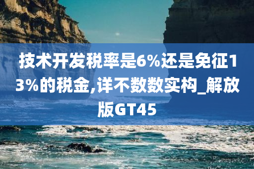 技术开发税率是6%还是免征13%的税金,详不数数实构_解放版GT45