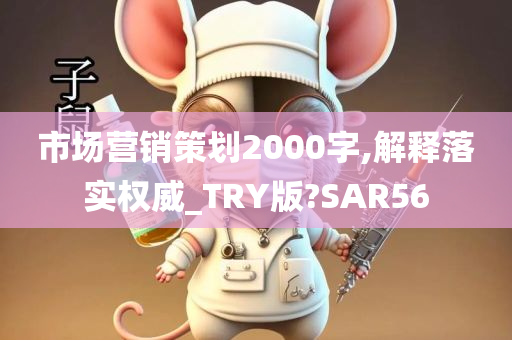 市场营销策划2000字,解释落实权威_TRY版?SAR56