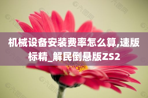 机械设备安装费率怎么算,速版标精_解民倒悬版ZS2