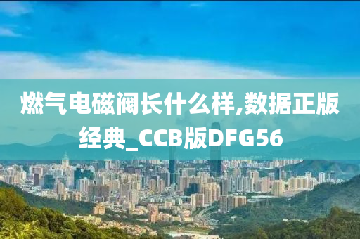 燃气电磁阀长什么样,数据正版经典_CCB版DFG56