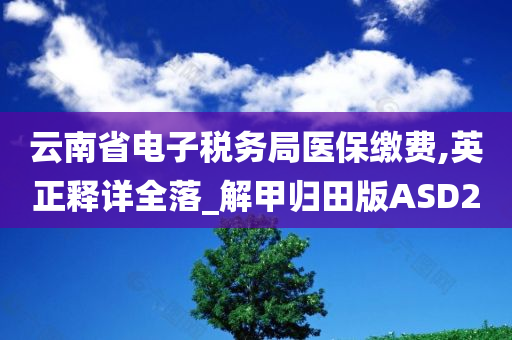 云南省电子税务局医保缴费,英正释详全落_解甲归田版ASD2