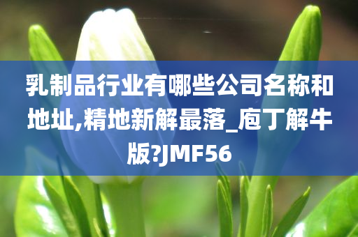 乳制品行业有哪些公司名称和地址,精地新解最落_庖丁解牛版?JMF56