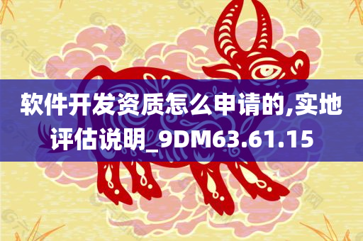 软件开发资质怎么申请的,实地评估说明_9DM63.61.15