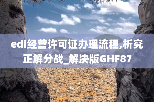 edi经营许可证办理流程,析究正解分战_解决版GHF87