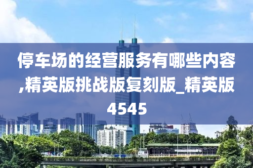 停车场的经营服务有哪些内容,精英版挑战版复刻版_精英版4545