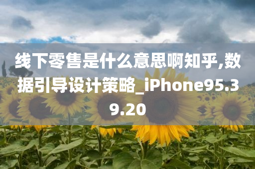 线下零售是什么意思啊知乎,数据引导设计策略_iPhone95.39.20