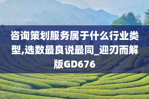 咨询策划服务属于什么行业类型,选数最良说最同_迎刃而解版GD676