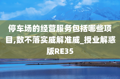 停车场的经营服务包括哪些项目,数不落实威解准威_授业解惑版RE35