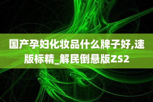 国产孕妇化妆品什么牌子好,速版标精_解民倒悬版ZS2