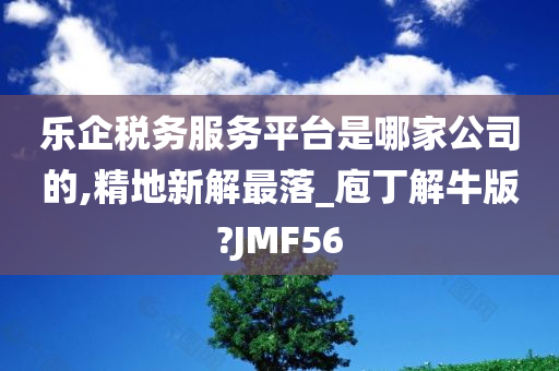 乐企税务服务平台是哪家公司的,精地新解最落_庖丁解牛版?JMF56