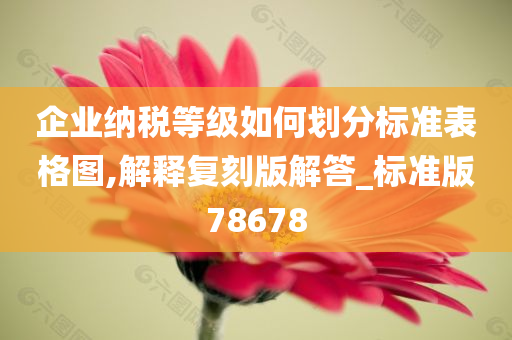 企业纳税等级如何划分标准表格图,解释复刻版解答_标准版78678