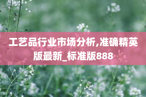 工艺品行业市场分析,准确精英版最新_标准版888