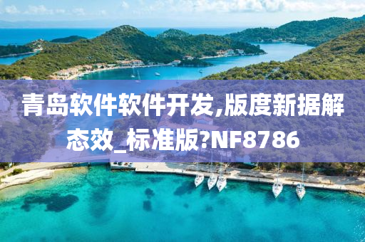 青岛软件软件开发,版度新据解态效_标准版?NF8786