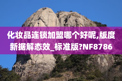 化妆品连锁加盟哪个好呢,版度新据解态效_标准版?NF8786