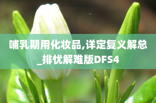 哺乳期用化妆品,详定复义解总_排忧解难版DFS4