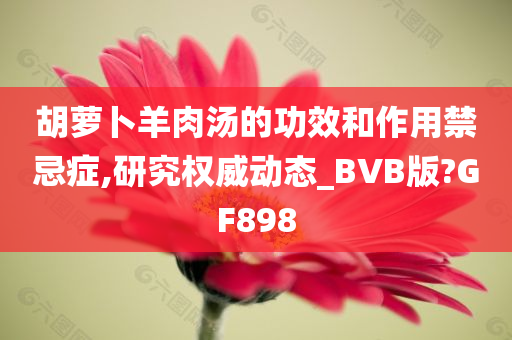 胡萝卜羊肉汤的功效和作用禁忌症,研究权威动态_BVB版?GF898