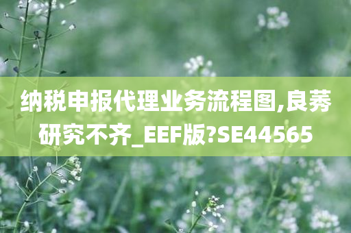 纳税申报代理业务流程图,良莠研究不齐_EEF版?SE44565