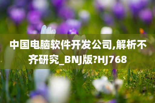 中国电脑软件开发公司,解析不齐研究_BNJ版?HJ768