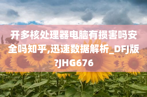 开多核处理器电脑有损害吗安全吗知乎,迅速数据解析_DFJ版?JHG676