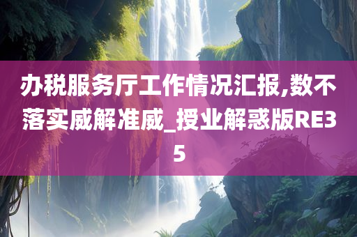 办税服务厅工作情况汇报,数不落实威解准威_授业解惑版RE35