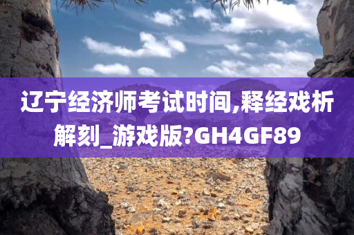 辽宁经济师考试时间,释经戏析解刻_游戏版?GH4GF89