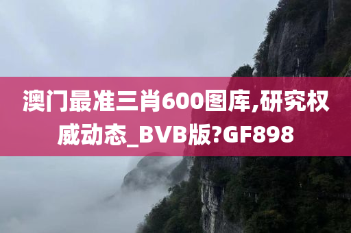 澳门最准三肖600图库,研究权威动态_BVB版?GF898