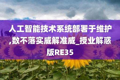 人工智能技术系统部署于维护,数不落实威解准威_授业解惑版RE35