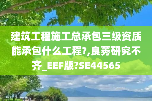 建筑工程施工总承包三级资质能承包什么工程?,良莠研究不齐_EEF版?SE44565