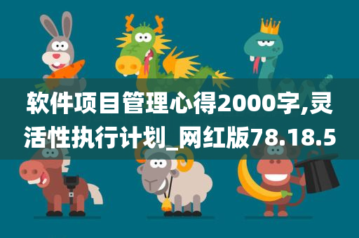 软件项目管理心得2000字,灵活性执行计划_网红版78.18.50