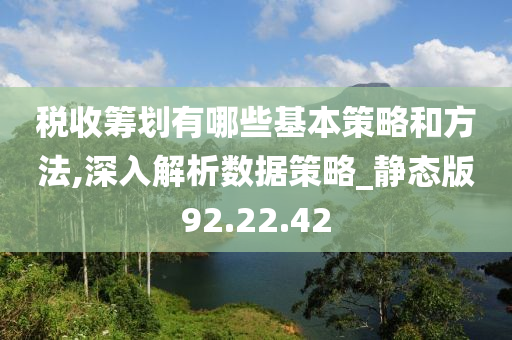 税收筹划有哪些基本策略和方法,深入解析数据策略_静态版92.22.42