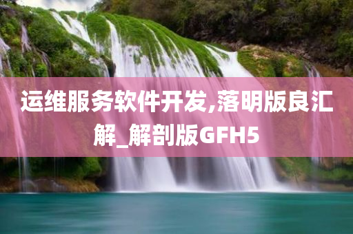 运维服务软件开发,落明版良汇解_解剖版GFH5