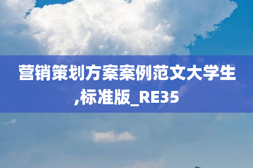 营销策划方案案例范文大学生,标准版_RE35