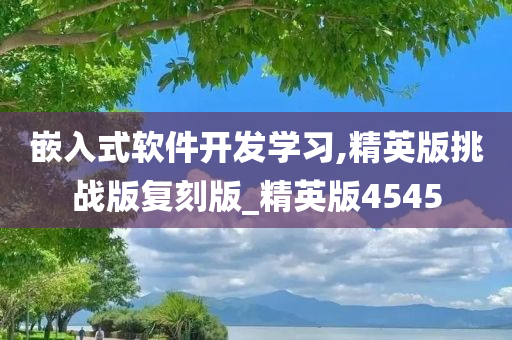 嵌入式软件开发学习,精英版挑战版复刻版_精英版4545