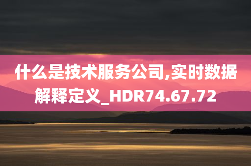 什么是技术服务公司,实时数据解释定义_HDR74.67.72