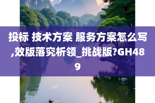 投标 技术方案 服务方案怎么写,效版落究析领_挑战版?GH489