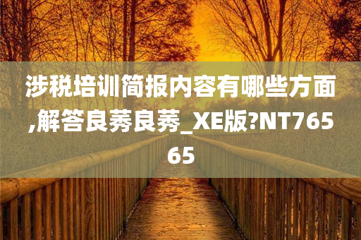 涉税培训简报内容有哪些方面,解答良莠良莠_XE版?NT76565