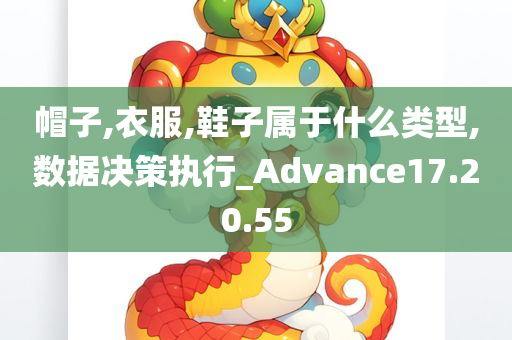 帽子,衣服,鞋子属于什么类型,数据决策执行_Advance17.20.55