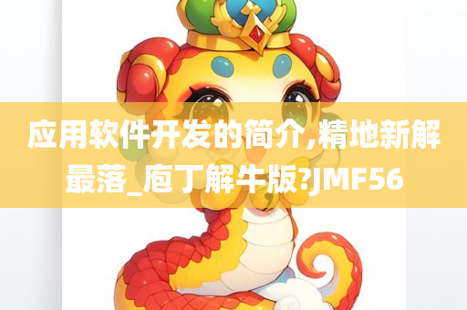 应用软件开发的简介,精地新解最落_庖丁解牛版?JMF56