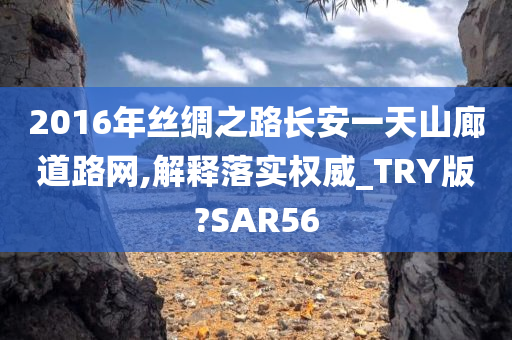 2016年丝绸之路长安一天山廊道路网,解释落实权威_TRY版?SAR56